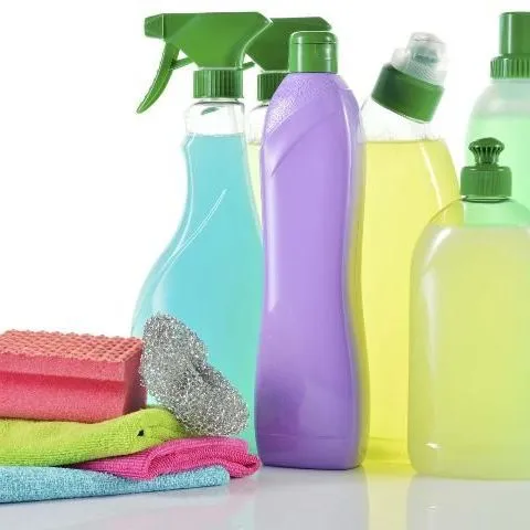 thumbnail for publication: Homemade Household Cleaners